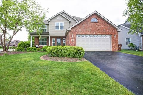 321 Lilac Dr, Beecher, IL 60401 photo 1