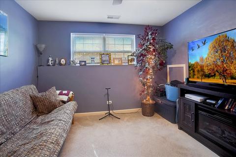 28768 W Pondview Dr, Lakemoor, IL 60051 photo 26