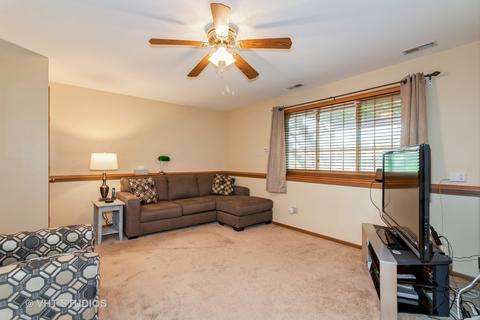 23123 Judith Ct, Plainfield, IL 60586 photo 9