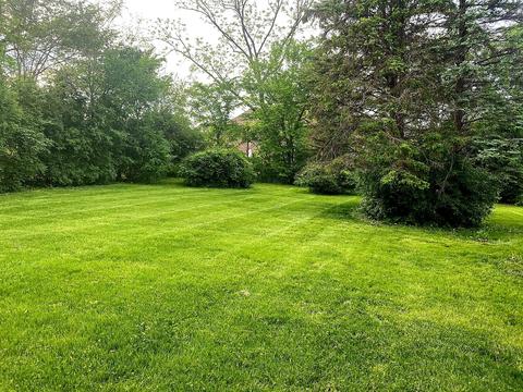 15 W232 Plainfield Rd, Burr Ridge, IL 60527 photo 4