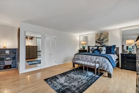 100 E Bellevue Pl #27D, Chicago, IL 60611 photo 16