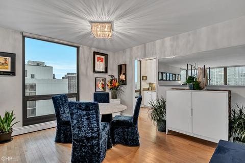100 E Bellevue Pl #27D, Chicago, IL 60611 photo 8