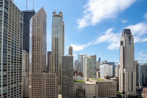 100 E Bellevue Pl #27D, Chicago, IL 60611 photo 38