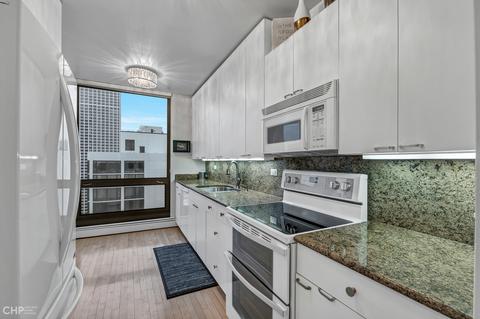 100 E Bellevue Pl #27D, Chicago, IL 60611 photo 9