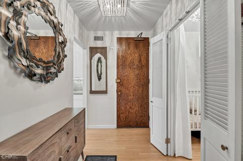 100 E Bellevue Pl #27D, Chicago, IL 60611 photo 12