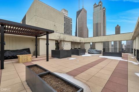 100 E Bellevue Pl #27D, Chicago, IL 60611 photo 37