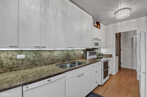 100 E Bellevue Pl #27D, Chicago, IL 60611 photo 10