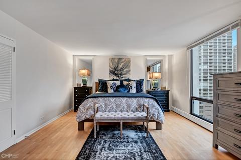 100 E Bellevue Pl #27D, Chicago, IL 60611 photo 17