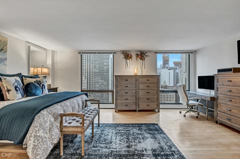 100 E Bellevue Pl #27D, Chicago, IL 60611 photo 18