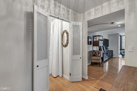 100 E Bellevue Pl #27D, Chicago, IL 60611 photo 13