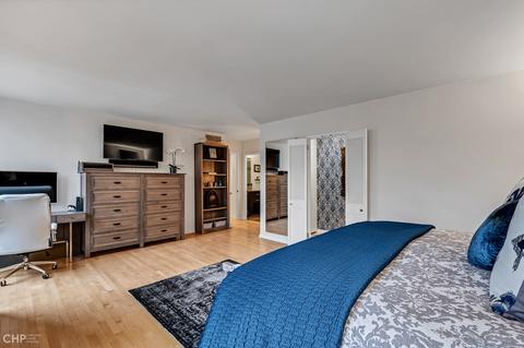 100 E Bellevue Pl #27D, Chicago, IL 60611 photo 19