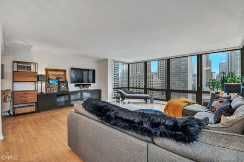 100 E Bellevue Pl #27D, Chicago, IL 60611 photo 6