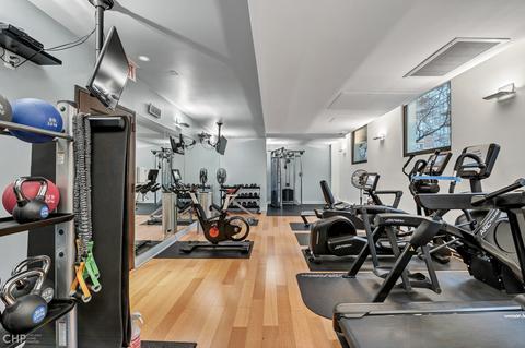 100 E Bellevue Pl #27D, Chicago, IL 60611 photo 33