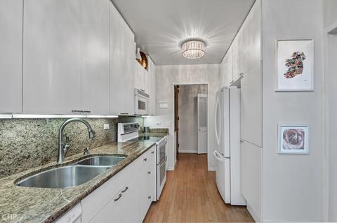 100 E Bellevue Pl #27D, Chicago, IL 60611 photo 11