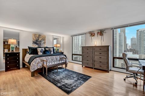 100 E Bellevue Pl #27D, Chicago, IL 60611 photo 15