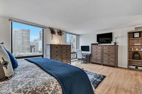 100 E Bellevue Pl #27D, Chicago, IL 60611 photo 20