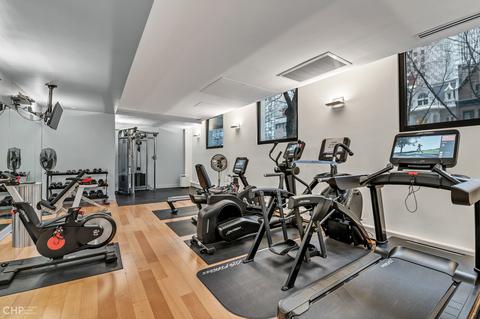 100 E Bellevue Pl #27D, Chicago, IL 60611 photo 34