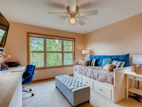 25016 Sandra Ln, Plainfield, IL 60544 photo 19