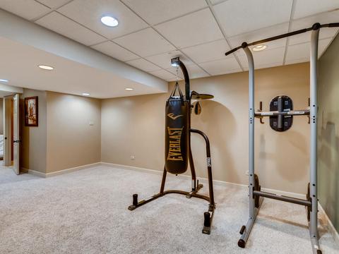 25016 Sandra Ln, Plainfield, IL 60544 photo 22