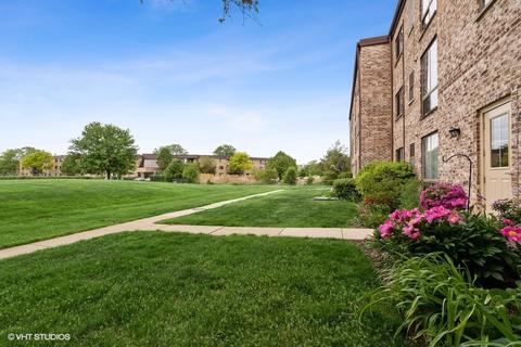 5511 Chateau Dr #2, Rolling Meadows, IL 60008 photo 12