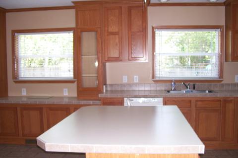 317 E Marshall St, Bement, IL 61813 photo 4