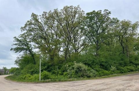 719 Ridgeway Trl, Mchenry, IL 60050 photo 1