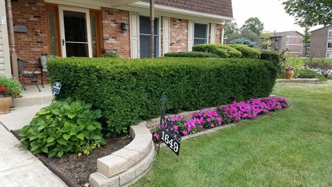 1649 Briarcliffe Blvd, Wheaton, IL 60189 photo 2
