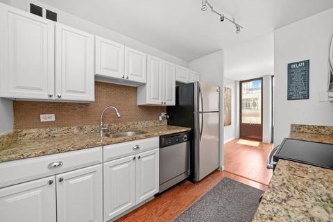 100 E Walton St #18F, Chicago, IL 60611 photo 5