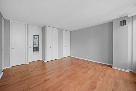 100 E Walton St #18F, Chicago, IL 60611 photo 10