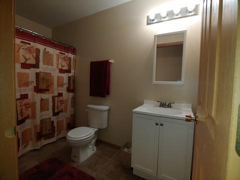 2306 Red Hawk Dr, Plainfield, IL 60586 photo 11