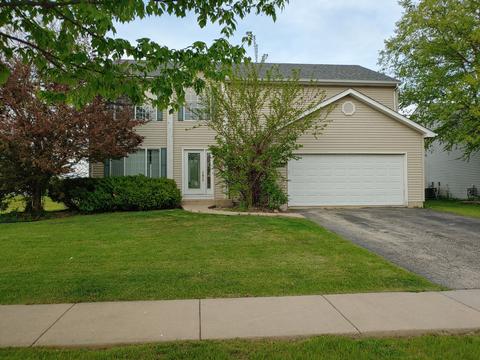 2306 Red Hawk Dr, Plainfield, IL 60586 photo 18