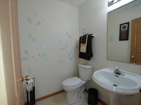 2306 Red Hawk Dr, Plainfield, IL 60586 photo 9