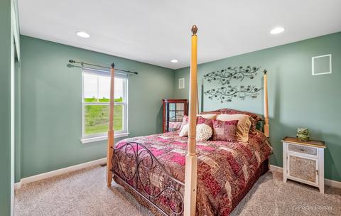 3911 Murphy Dr, Mchenry, IL 60050 photo 30