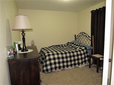 1201 Chicago St, Dewitt, IL 61735 photo 13