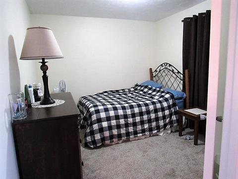 1201 Chicago St, Dewitt, IL 61735 photo 11