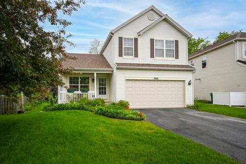 5926 Emerald Pointe Dr, Plainfield, IL 60586 photo 1
