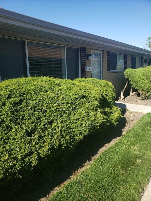 803 Valley Stream Dr #B, Wheeling, IL 60090 photo 1