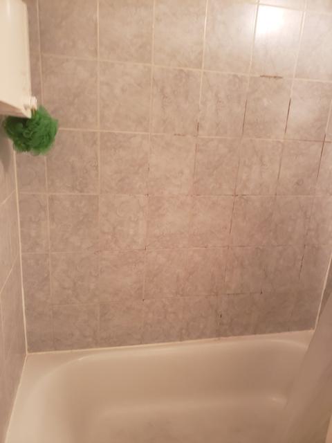 803 Valley Stream Dr #B, Wheeling, IL 60090 photo 5