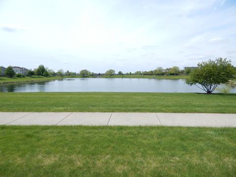 14863 Meadow Ln, Plainfield, IL 60544 photo 51