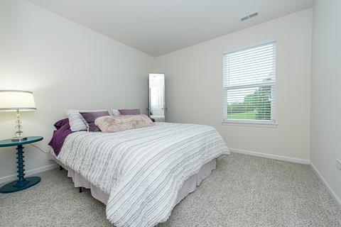 2203 Daly Ln, Plainfield, IL 60586 photo 14
