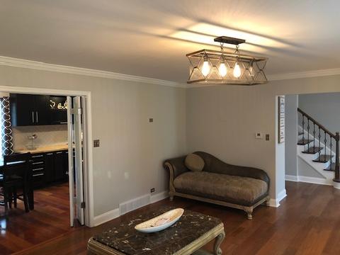 9 Danube Way, Olympia Fields, IL 60461 photo 12