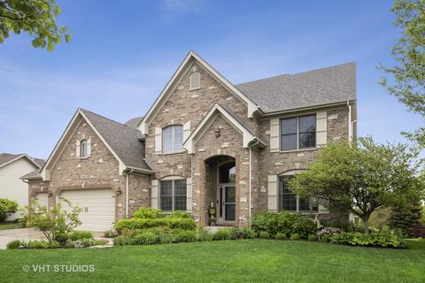 13105 Skyline Dr, Plainfield, IL 60585 photo 1