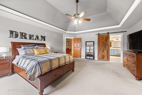 13105 Skyline Dr, Plainfield, IL 60585 photo 17