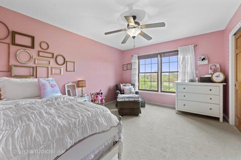 13105 Skyline Dr, Plainfield, IL 60585 photo 22