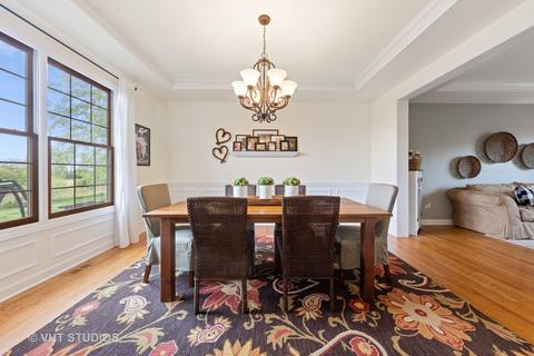 13105 Skyline Dr, Plainfield, IL 60585 photo 11