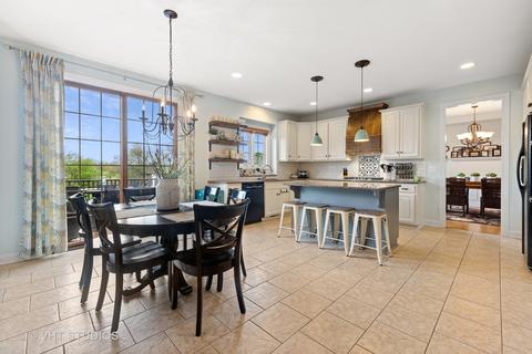 13105 Skyline Dr, Plainfield, IL 60585 photo 4
