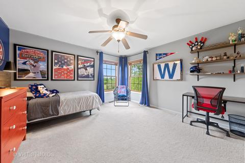 13105 Skyline Dr, Plainfield, IL 60585 photo 21
