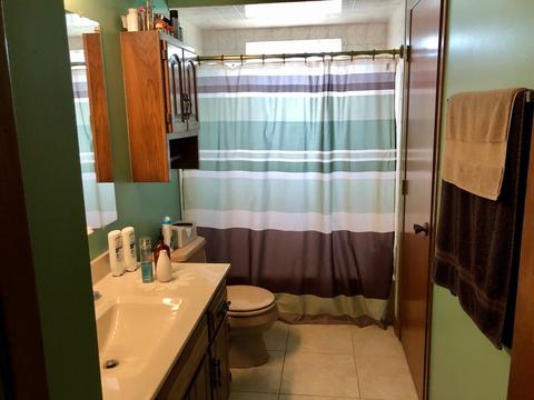 5231 Temple St, Oak Forest, IL 60452 photo 14