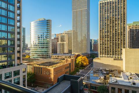 10 E Delaware Pl #10A, Chicago, IL 60611 photo 9