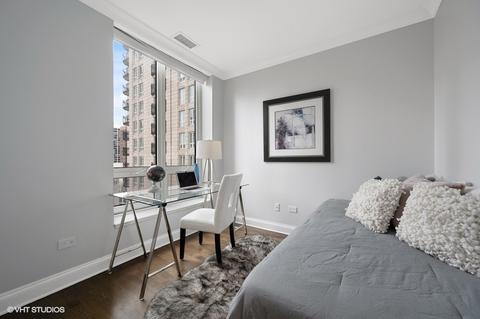 10 E Delaware Pl #10A, Chicago, IL 60611 photo 19